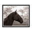 Horse Profile Framed Photographic Print