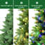 Arbre de Noël pré-éclairé avec télécommande, minuterie et lumières à DEL changeantes-864924678