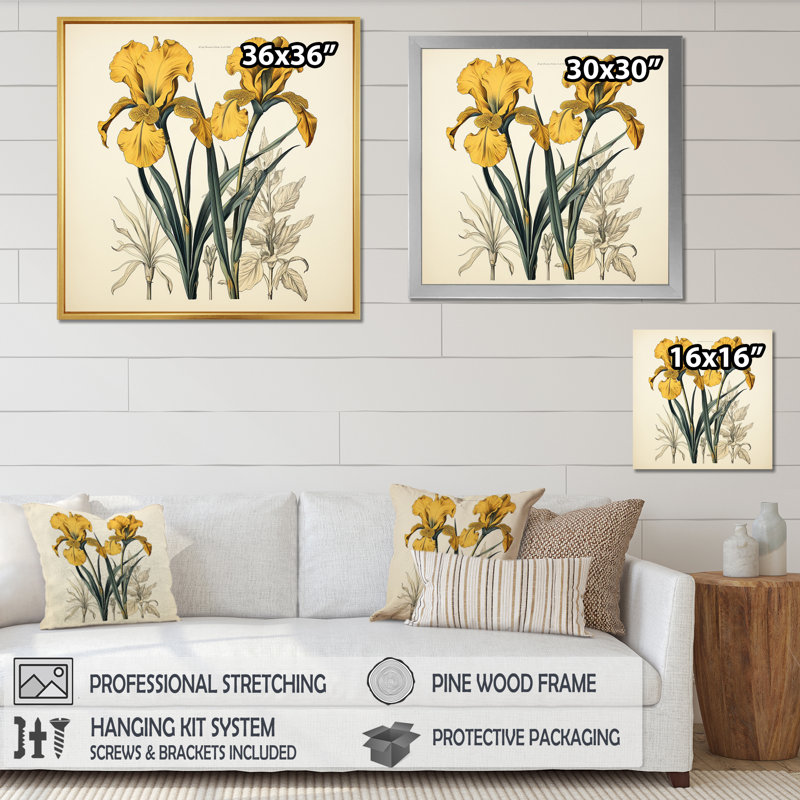 Illustration rétro, iris dorés sur toile, Cadre simple blanc, H 24 po x l 24 po x P 1 po