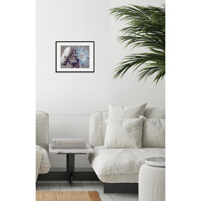 Rose - Single Picture Frame Print
