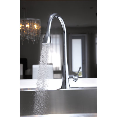 Edge™ Pull Down Bar/Food Prep Faucet