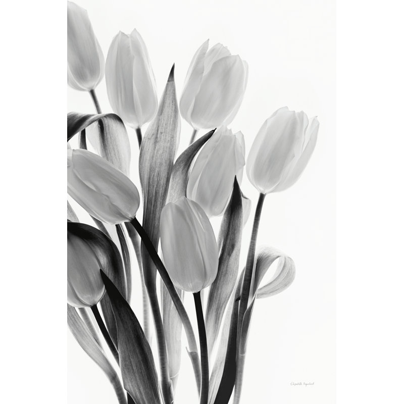 " Shadows And Light II " by Elizabeth Urquhart, 36" H x 24" W x 1.25" D