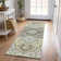 Machine Washable Indoor/Outdoor Chayden ACN1036 Rug