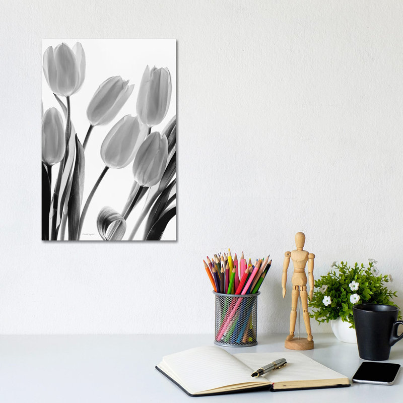 Shadows And Light I by Elizabeth Urquhart - Wrapped Canvas Print, 20.32 cm H x 30.48 cm W