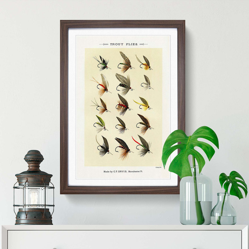Trout Fishing Flies Version 8 by Mary Orvis Marbury - Framed Print, 76cm H x 50cm W x 2cm D, Walnut