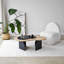 Table basse-1825622218-1825622219