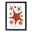 Assortment Of Starfish by Albert I - Single Picture Frame Painting-57844142-57844143