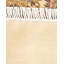 Classic One-of-a-Kind 8' 1" X 8' 1" Hand Knotted Area Rug