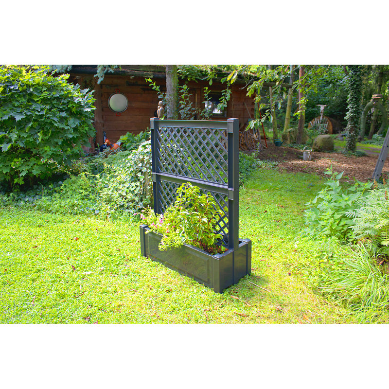Planter Box, Anthracite