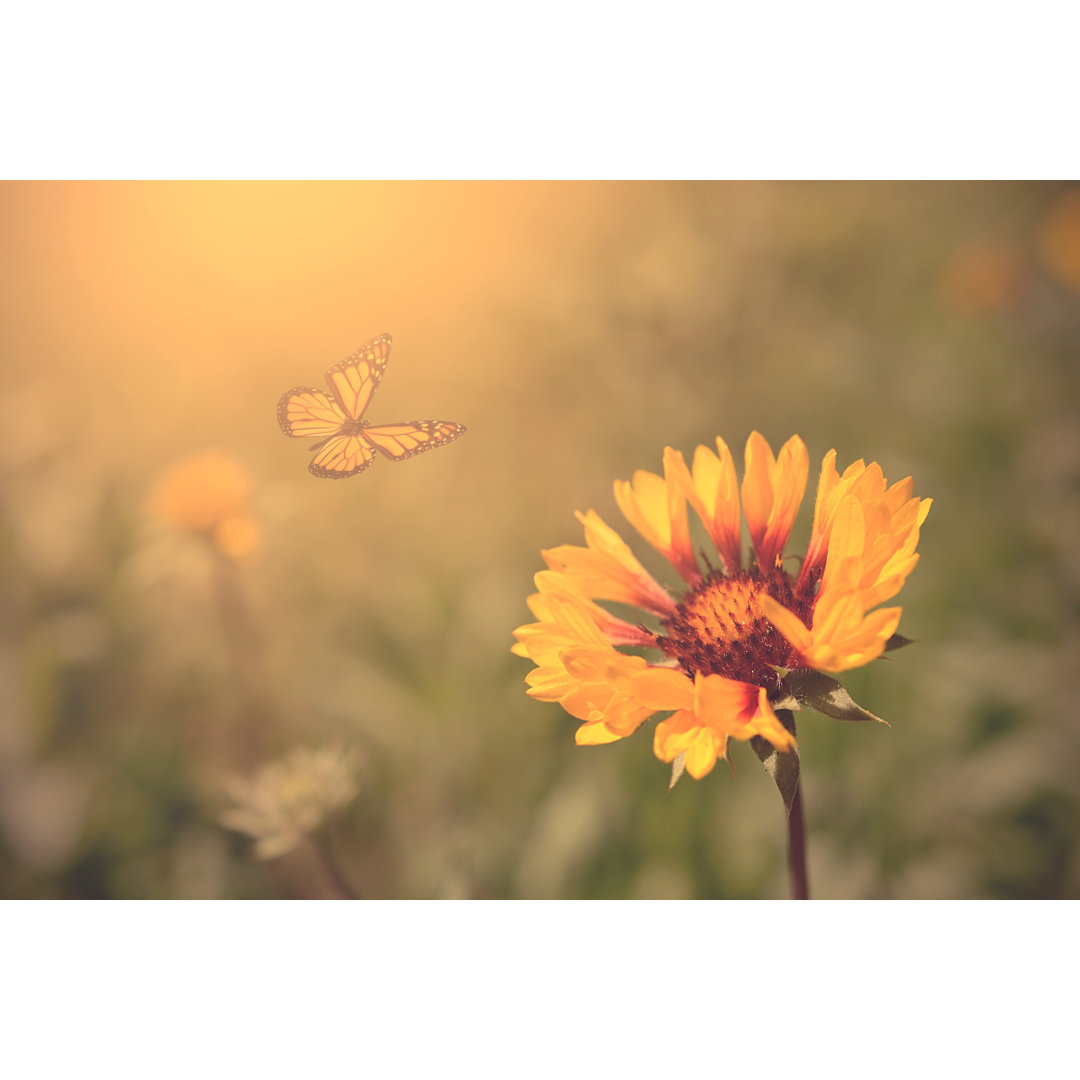 Schöner Schmetterling und Blumen - Druck