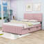 Lit plateforme tapissier avec lit gigogne-130022593