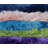 Haghni Navy New Zealand Natural Sheepskin Rug-953062562