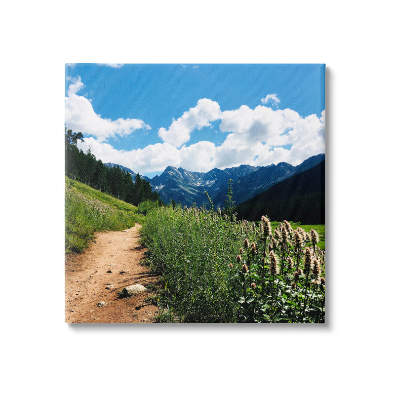 Art sur toile, "Mountain Field Nature Path" par Anna Coppel, H 24 po x l 24 po x P 1,5 po