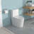 Ceramic One Piece Toilet, 12-Inch Rough-In, Dual Flush With Soft Closing Seat