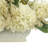 Hydrangea and Seeded Eucalyptus Centerpiece