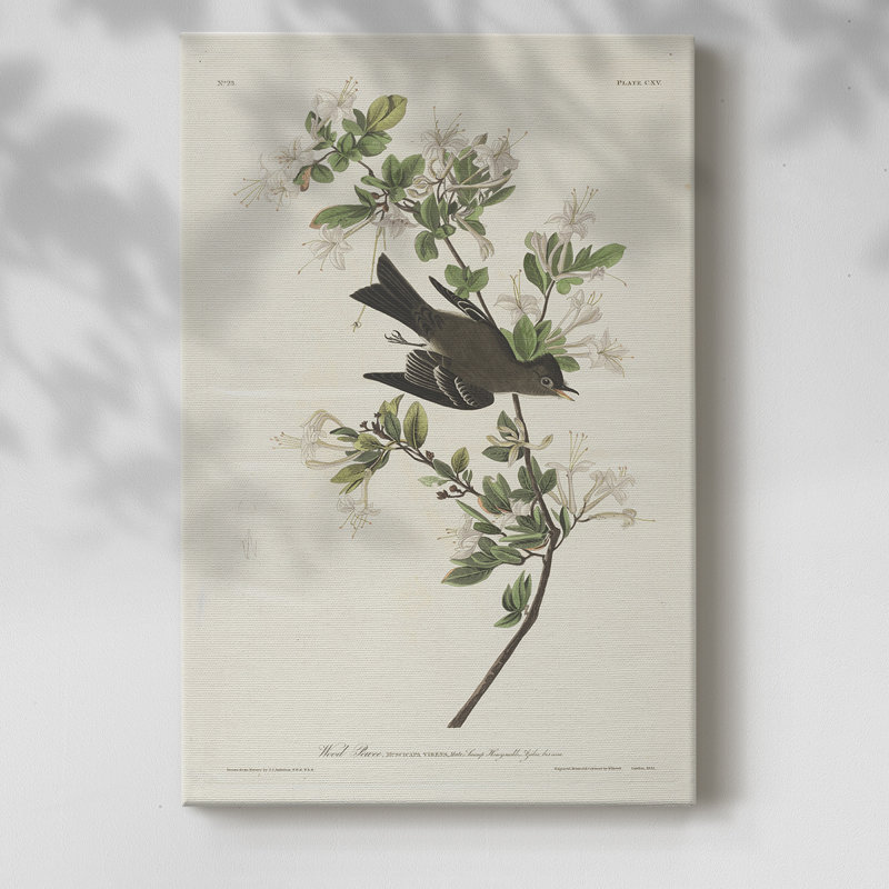 Imprimé animalier rétro - galerie Cavas, H 18 po x l 12 po