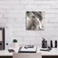 Winston Porter 'Elska 3 Bw' by Laura Marshall Canvas Wall Art, 18" x 18"-531061210