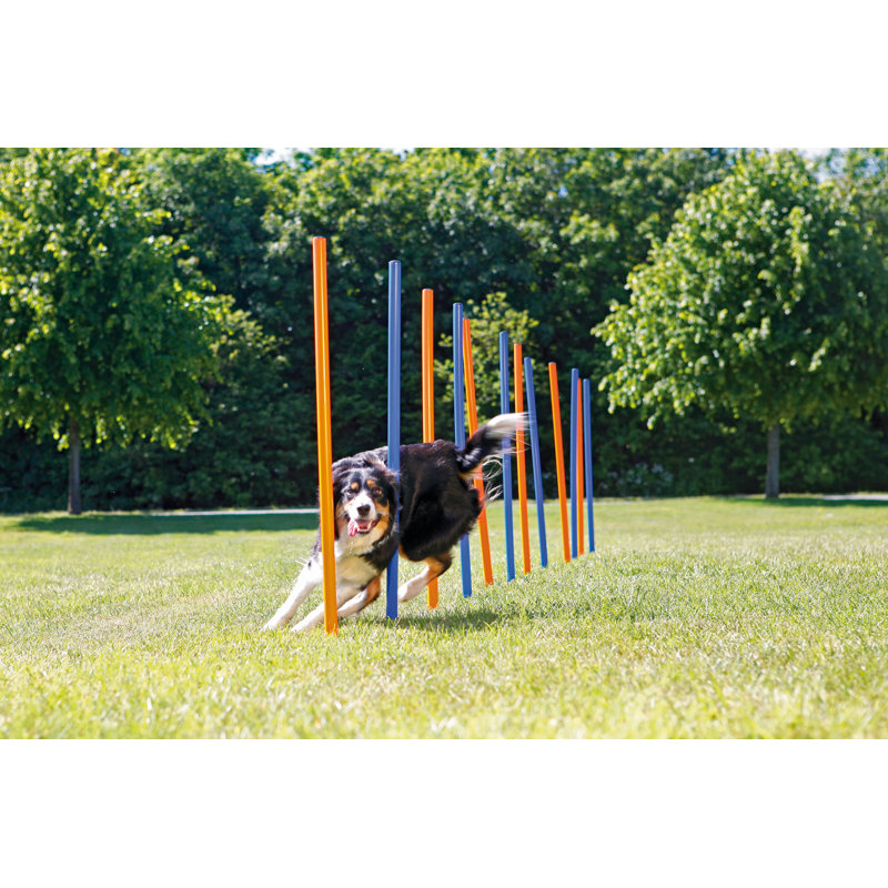 TRIXIE Portable Dog Agility Slalom Set with Steel Spikes