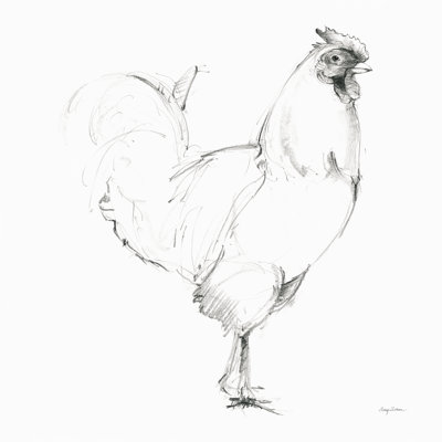 Rooster II by Avery Tillmon - Wrapped Canvas Drawing