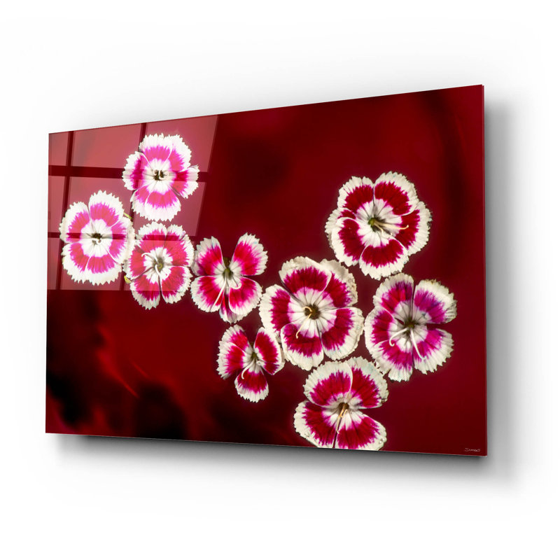 «Macro Flowers 02» par Gordon Semmens, H 16 po x l 24 po x P 0,2 po