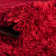  Tapis rouge