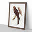 Allied Kite by Elizabeth Gould - Single Picture Frame Painting-55545016-55545019