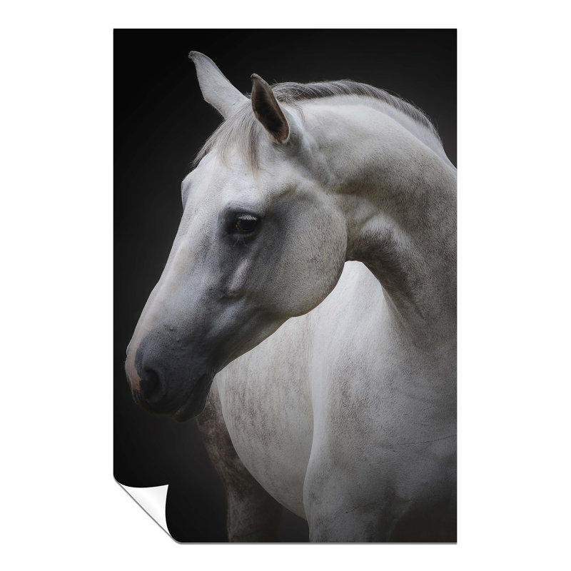 Graceful White Horse Portrait - No Frame Print, 31cm H x 20cm W x 1cm D