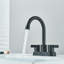 Centerset 2-handle Bathroom Faucet with Drain Assembly