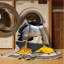  Tapis lavable Great Gull Birds-1214739914