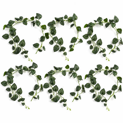 Watermelonx6 160cm Plant