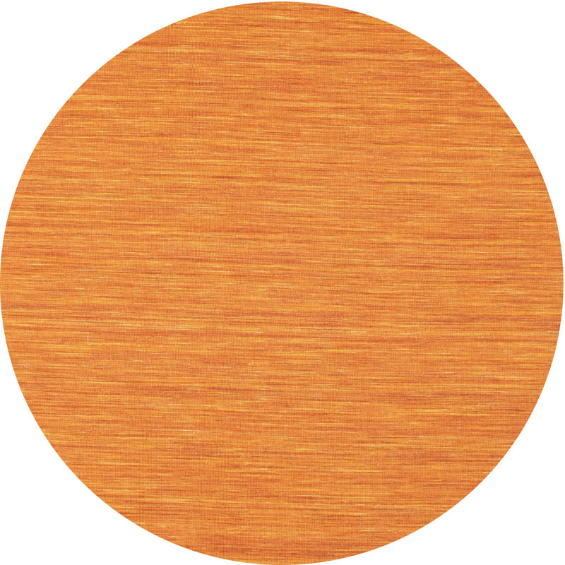 Indoor Rug, Round 4'