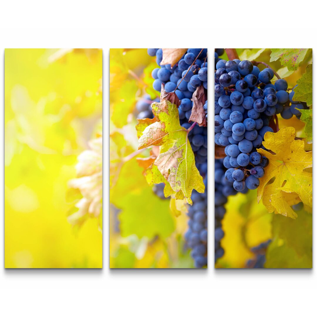 3-tlg. Leinwandbilder-Set Blaue Weinrebe im Herbst