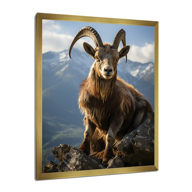 Bouquetin brun bouquetin majestueux - impression, H 40 po x l 30 po x P 1,5 po, Encadrement doré