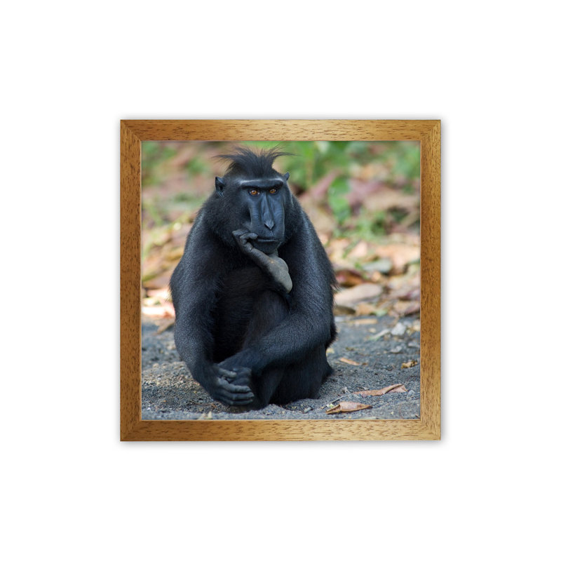 Thinker by Karsten Wrobel - Print on Canvas, 88cm H x 64cm W x 3cm D, Brown Framed
