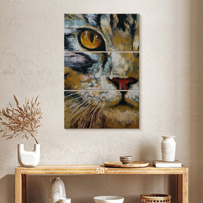Maine Coon Cat
