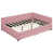 Rose est en rupture de stock
