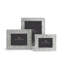Palm Frame-60149249-93779417