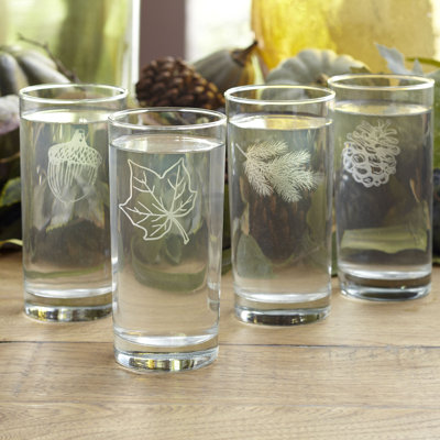 Marguerite Highball Glass Set
