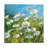 Summer Field II by Summer Field II - Painting on Canvas-1285479911-1285479910