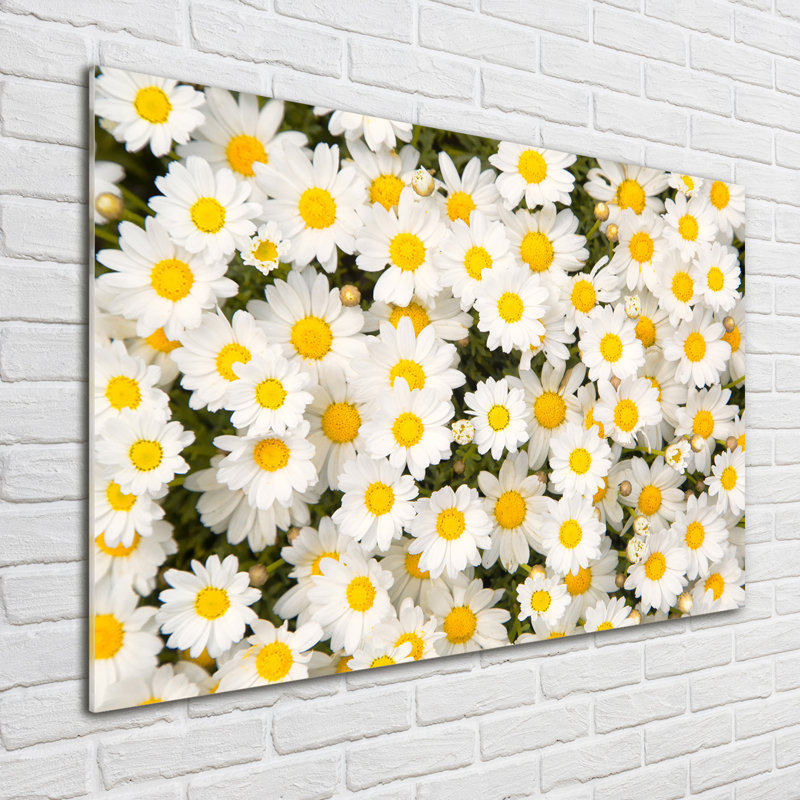 Daisies - No Frame Print on Glass