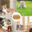 Jouet interactif pour chat