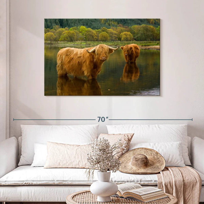 Brampt Bathing Highland Cow, H 30 po x l 45 po