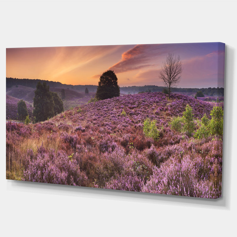 Blooming Heather at Dawn Panorama - impression sur toile tendue, H 16 po x l 32 po x P 1 po