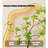 Cream Sandstone 3d Led Wall Art – Glow Entryway Decor-864740318