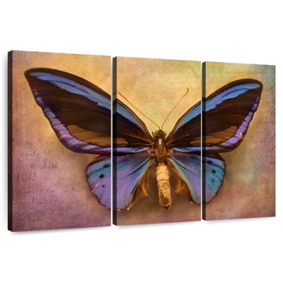 Papillon mauve