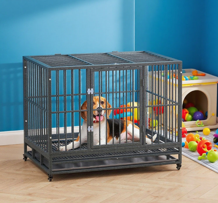 Cage en métal robuste pour chenil