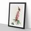 Great Carolina Wrens by John Audubon - Picture Frame Painting Print-55575331-55575329