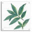 «Bay Leaf» par Chris Paschke-930725815