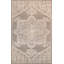 Modern Gray/Ivory Area Rug