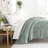 Soft Down-Alternative Essential Comforter-388916729-328447632